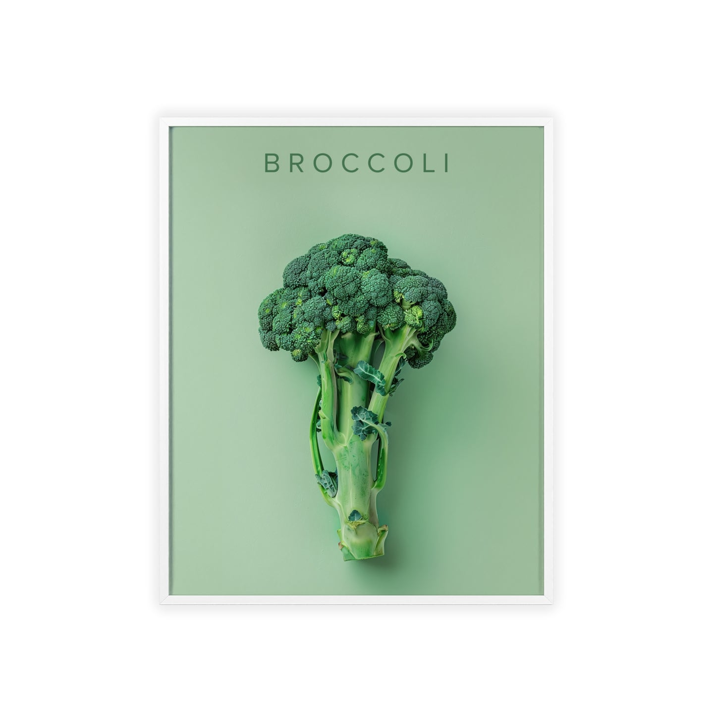 Brokkoli - Poster in Rahmen